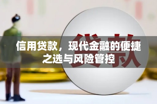 万柏林信用贷款，现代金融的便捷之选与风险管控