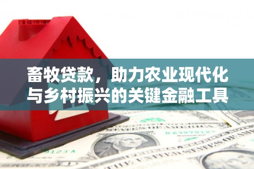 万柏林畜牧贷款，助力农业现代化与乡村振兴的关键金融工具