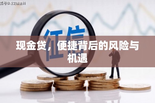 万柏林现金贷，便捷背后的风险与机遇