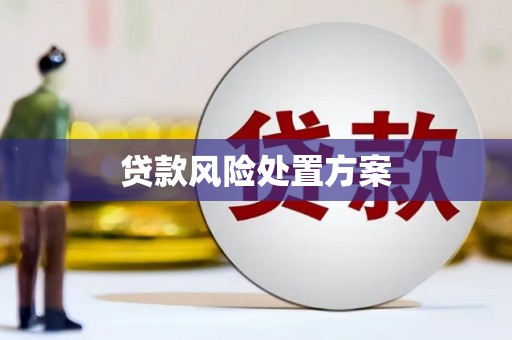 万柏林贷款风险处置方案