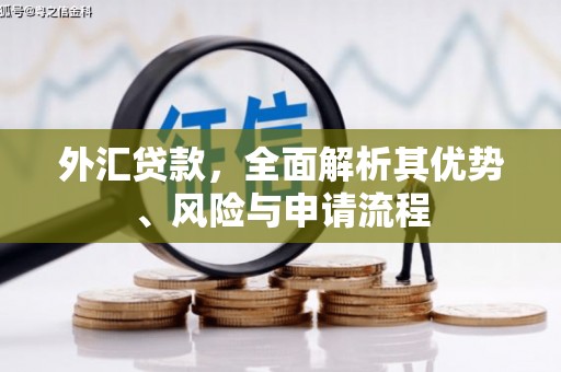 万柏林外汇贷款，全面解析其优势、风险与申请流程