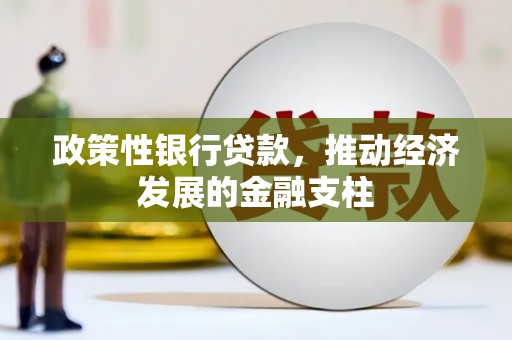 万柏林政策性银行贷款，推动经济发展的金融支柱
