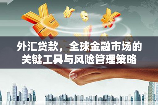 万柏林外汇贷款，全球金融市场的关键工具与风险管理策略