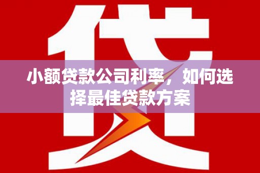 万柏林小额贷款公司利率，如何选择最佳贷款方案