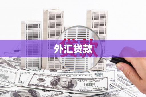 万柏林外汇贷款