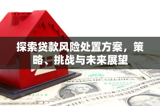 万柏林探索贷款风险处置方案，策略、挑战与未来展望
