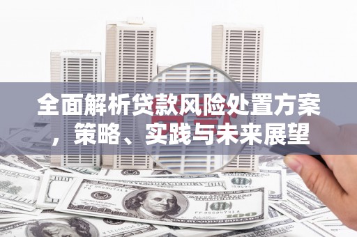 万柏林全面解析贷款风险处置方案，策略、实践与未来展望