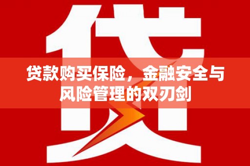 万柏林贷款购买保险，金融安全与风险管理的双刃剑