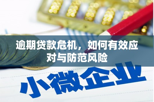 万柏林逾期贷款危机，如何有效应对与防范风险