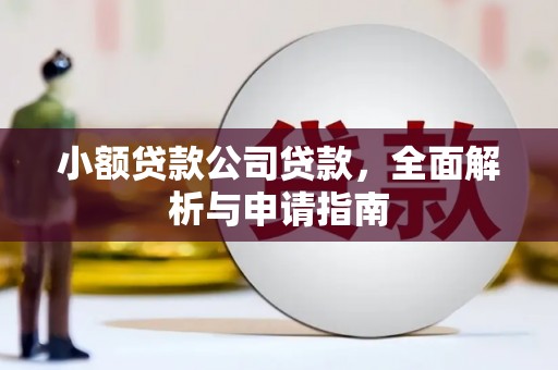 万柏林小额贷款公司贷款，全面解析与申请指南