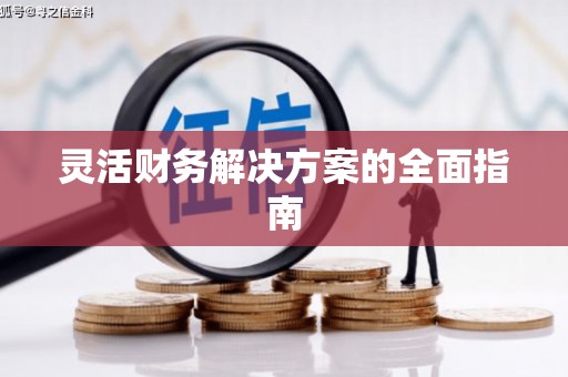 万柏林灵活财务解决方案的全面指南