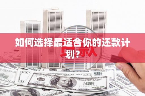 万柏林如何选择最适合你的还款计划？