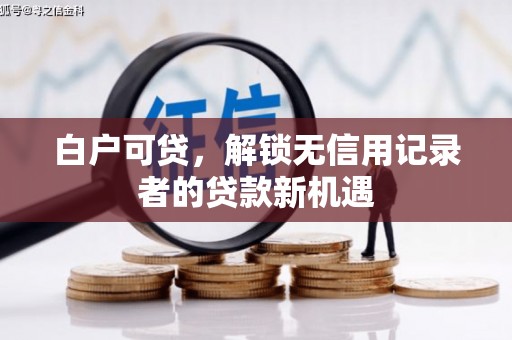 万柏林白户可贷，解锁无信用记录者的贷款新机遇