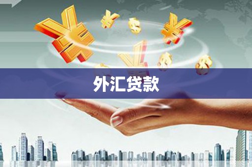 万柏林外汇贷款