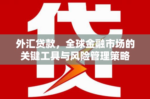 万柏林外汇贷款，全球金融市场的关键工具与风险管理策略