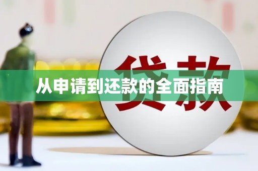 万柏林从申请到还款的全面指南