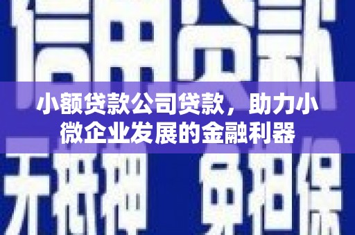 万柏林小额贷款公司贷款，助力小微企业发展的金融利器