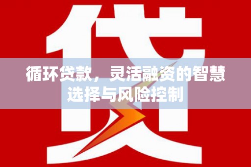 万柏林循环贷款，灵活融资的智慧选择与风险控制