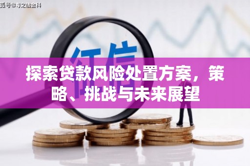 万柏林探索贷款风险处置方案，策略、挑战与未来展望