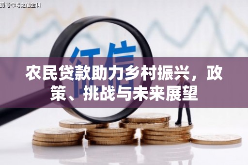 万柏林农民贷款助力乡村振兴，政策、挑战与未来展望