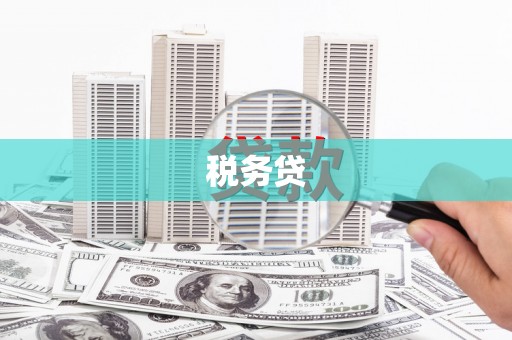 万柏林税务贷