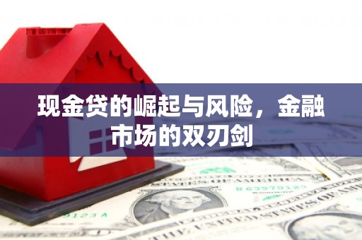 万柏林现金贷的崛起与风险，金融市场的双刃剑