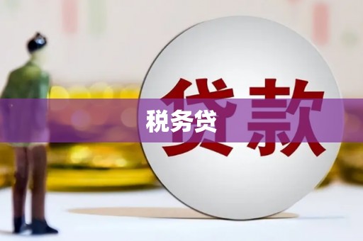 万柏林税务贷