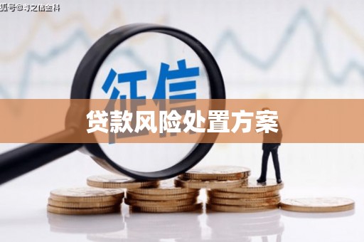 万柏林贷款风险处置方案