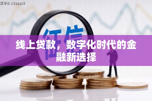 万柏林线上贷款，数字化时代的金融新选择