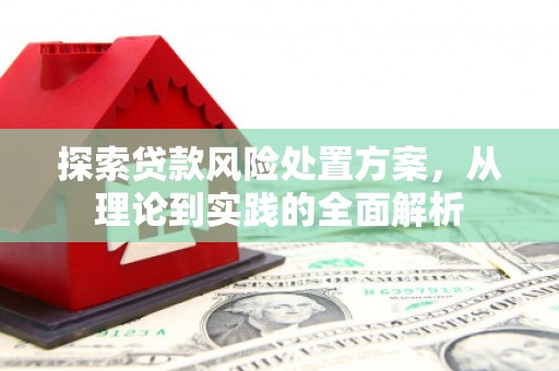 万柏林探索贷款风险处置方案，从理论到实践的全面解析