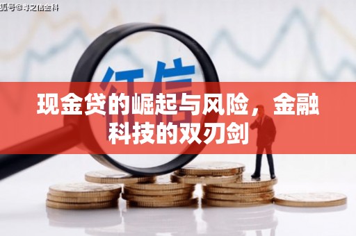 万柏林现金贷的崛起与风险，金融科技的双刃剑