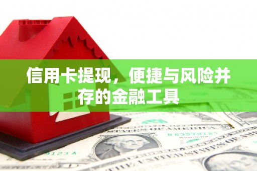 万柏林信用卡提现，便捷与风险并存的金融工具