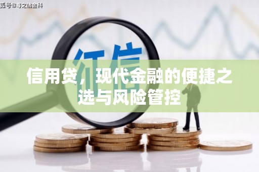 万柏林信用贷，现代金融的便捷之选与风险管控