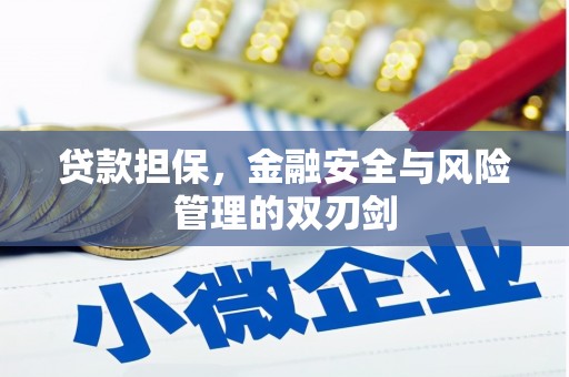 万柏林贷款担保，金融安全与风险管理的双刃剑