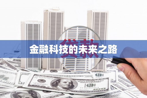 万柏林金融科技的未来之路