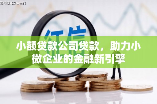 万柏林小额贷款公司贷款，助力小微企业的金融新引擎