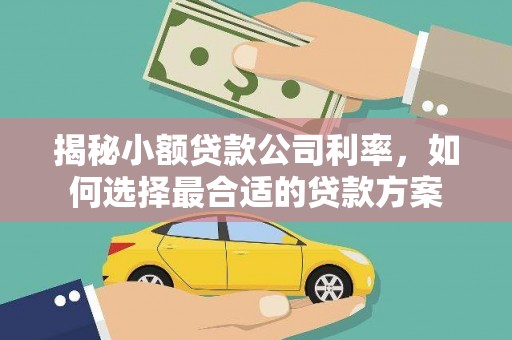 万柏林揭秘小额贷款公司利率，如何选择最合适的贷款方案