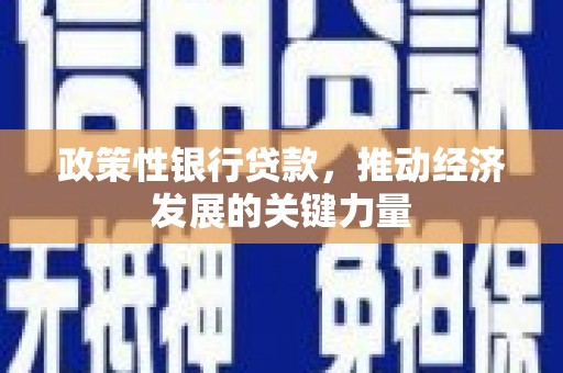 万柏林政策性银行贷款，推动经济发展的关键力量