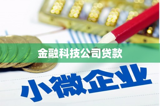 万柏林金融科技公司贷款