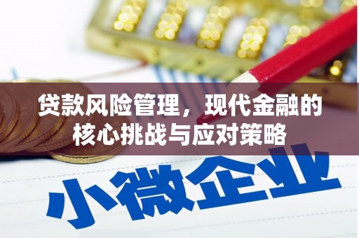 万柏林贷款风险管理，现代金融的核心挑战与应对策略
