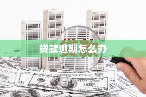 万柏林贷款逾期怎么办