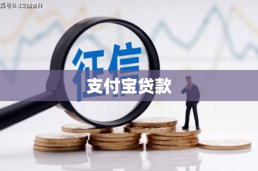 万柏林支付宝贷款