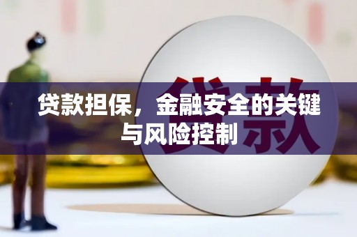 万柏林贷款担保，金融安全的关键与风险控制