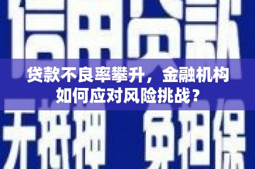 万柏林贷款不良率攀升，金融机构如何应对风险挑战？