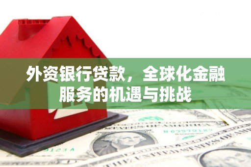 万柏林外资银行贷款，全球化金融服务的机遇与挑战