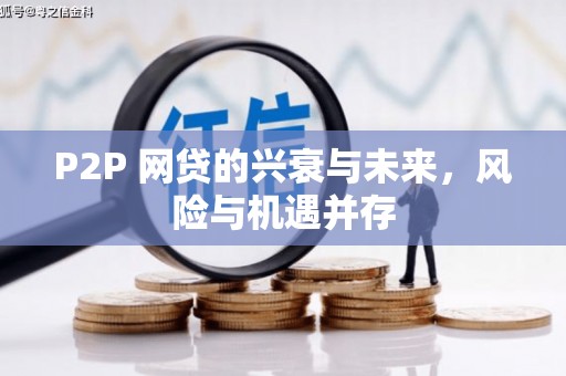 万柏林P2P 网贷的兴衰与未来，风险与机遇并存