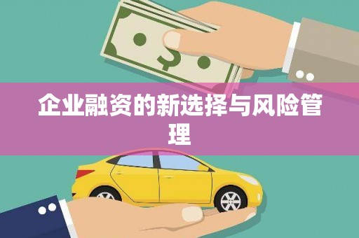 万柏林企业融资的新选择与风险管理
