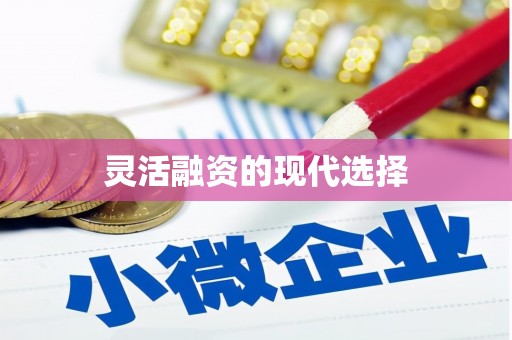 万柏林灵活融资的现代选择