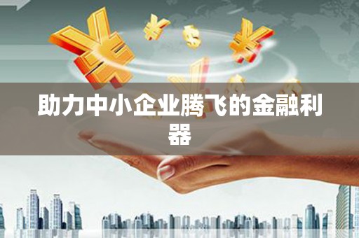 万柏林助力中小企业腾飞的金融利器