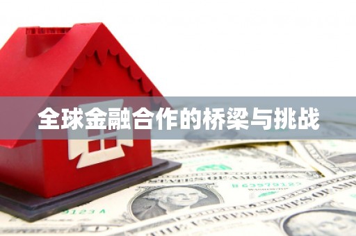 万柏林全球金融合作的桥梁与挑战